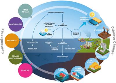 Frontiers | Emergent Interactive Effects Of Climate Change And ...